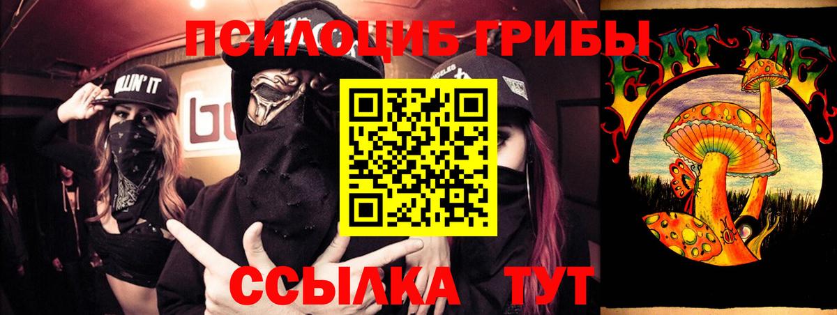 наркошоп  Псилоцибиновые грибы GOLDEN TEACHER  Вход с VPN  Галлюциногенные грибы Cubensis  Кубинка 