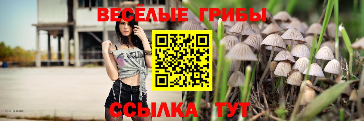 Галлюциногенные грибы Psilocybe Кубинка